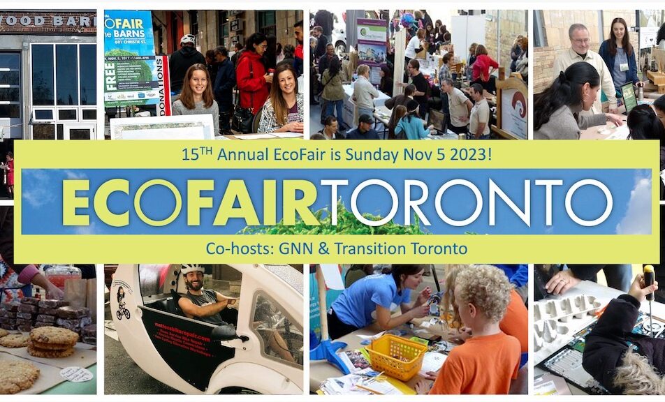 Collage of photographs showing people participating in a fair