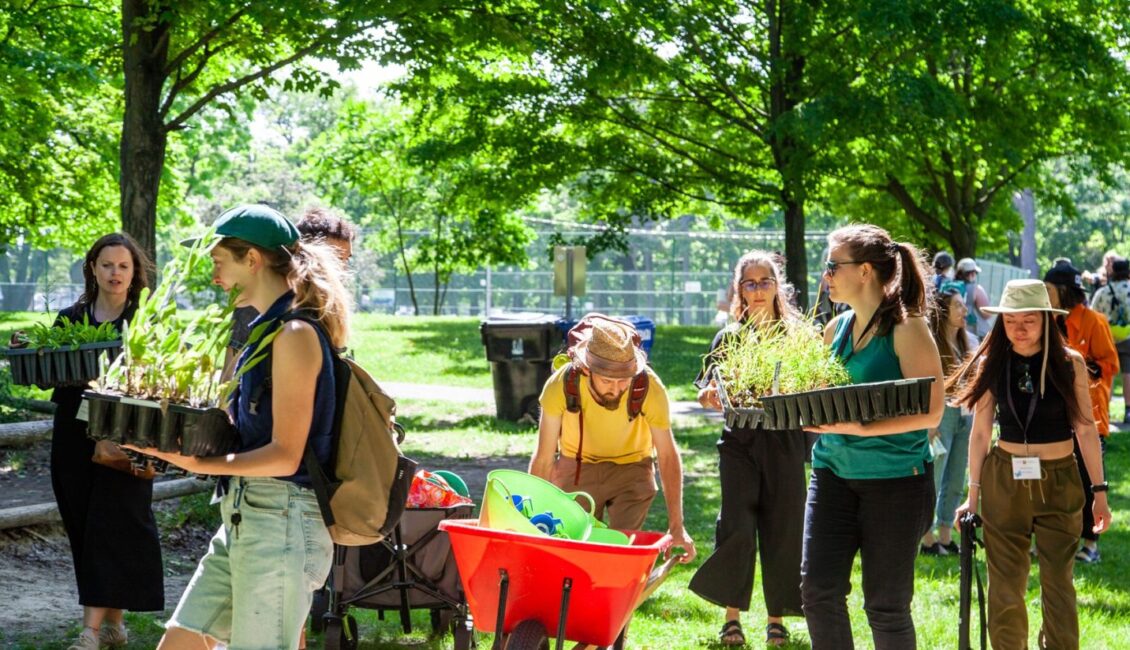 People carrying plants in a park