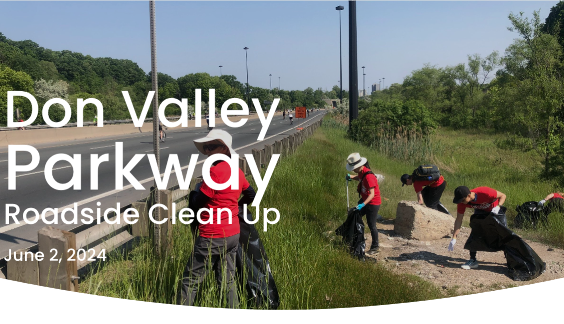 Volunteers picking up trash in the tall grass next to a highway